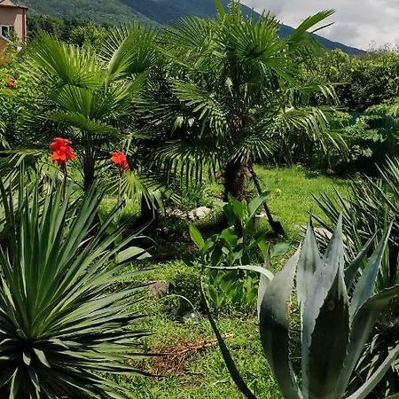 Tikhaya Gavan Guest House กากรา ภายนอก รูปภาพ